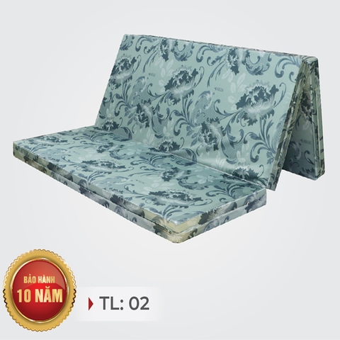 ĐỆM ESEUN TINH KHIẾT PLUS MẪU TL02