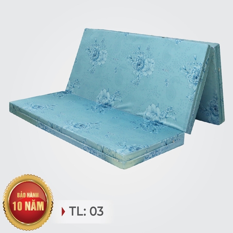 ĐỆM ESEUN TINH KHIẾT PLUS MẪU TL03