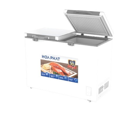 Tủ đông Hòa Phát 245 lít 2 ngăn HPF BD6245.T1 - Dàn đồng