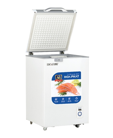 Tủ đông Hòa Phát 1 cánh HPF AD6107.T1