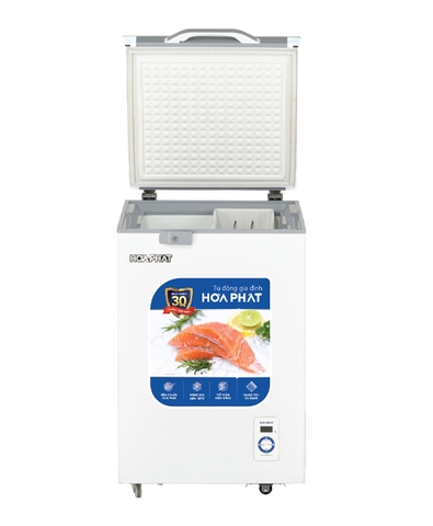 Tủ đông Hòa Phát 1 cánh HPF AD6107.T1