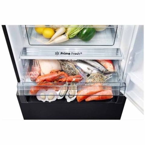 Tủ lạnh Panasonic Inverter 420 lít NR-BX471XGKV - Chính hãng