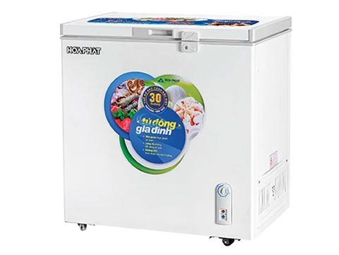 Tủ đông Hòa Phát HPF AN6162 162 lít