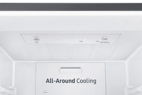 Tủ lạnh Samsung Inverter 307 lít RB30N4190S9/SV