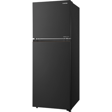 Tủ lạnh Toshiba Inverter 271 lít GR-RT349WE-PMV(68)