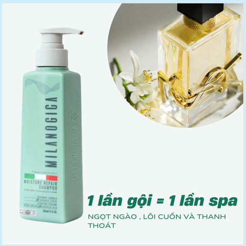 Dầu Gội , Dầu Xả Phục hồi hư tổn, Giảm gàu sạch ngứa da đầu hương nước hoa Milanogica 355ml