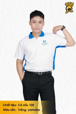 Đồng phục polo Apollo English