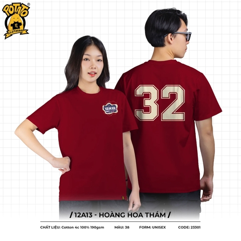 ÁO LỚP 12A13 - Hoàng Hoa Thám