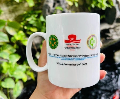 Cốc sứ