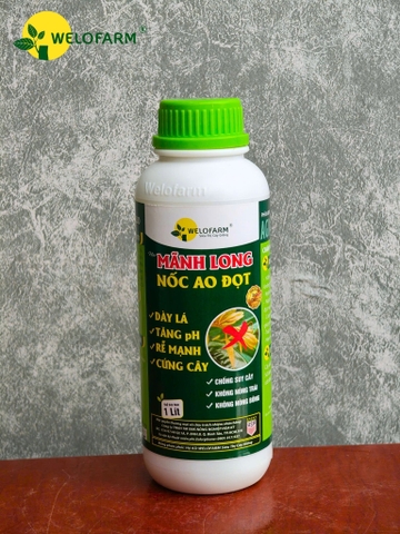 Mãnh Long Nốc Ao Đọt