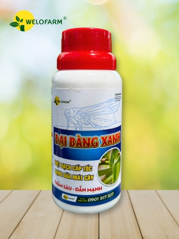 ĐẠI BÀNG XANH