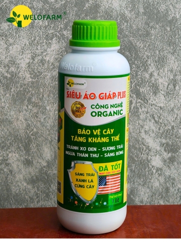 PLUS SIÊU ÁO GIÁP