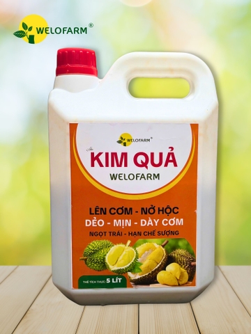 KIM QUẢ