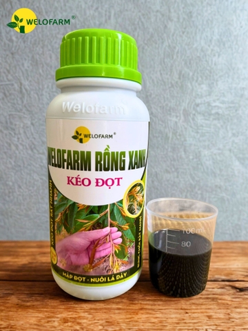 Welofarm Rồng Xanh Kéo Đọt