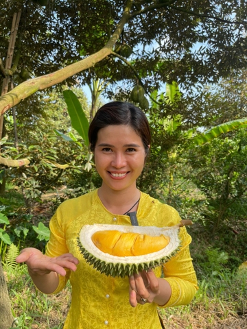 Sầu riêng Hoàng Châu Long