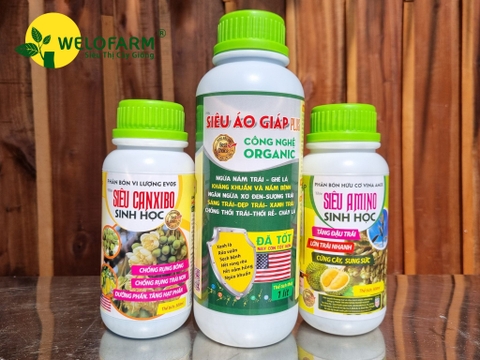 Bộ Dưỡng Bông Cao Cấp