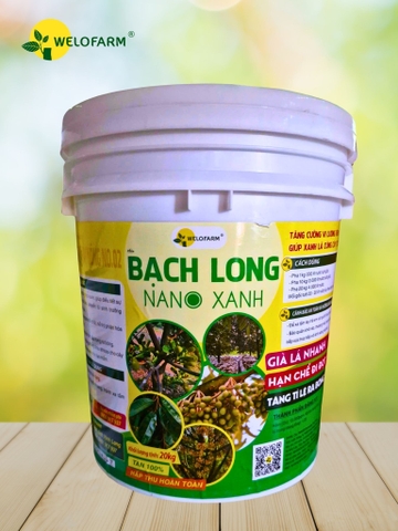 Bạch Long Nano Xanh