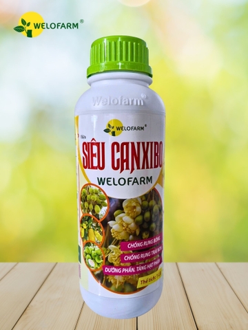 Siêu CanxiBo