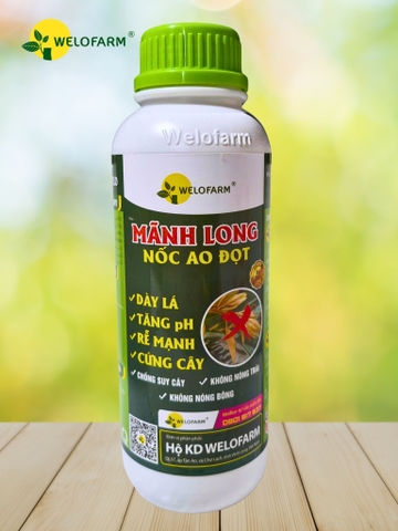 Mãnh Long Nốc Ao Đọt