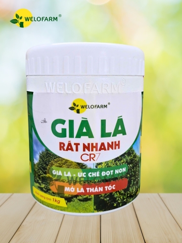 Già Lá Rất Nhanh