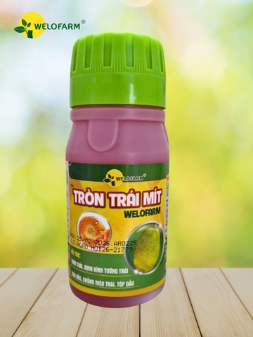 TRÒN TRÁI MÍT