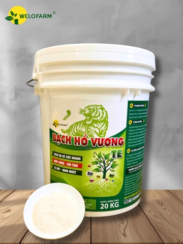 Bạch Hổ Vương TE