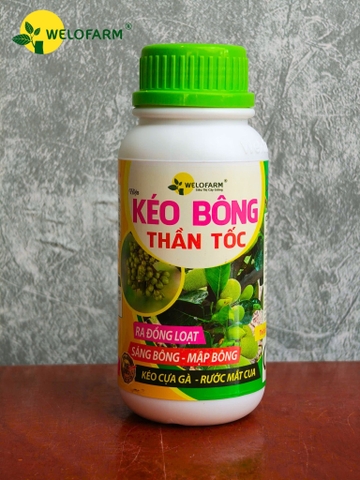 Kéo Bông Thần Tốc