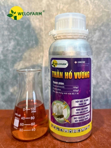 Thần Hổ Vương