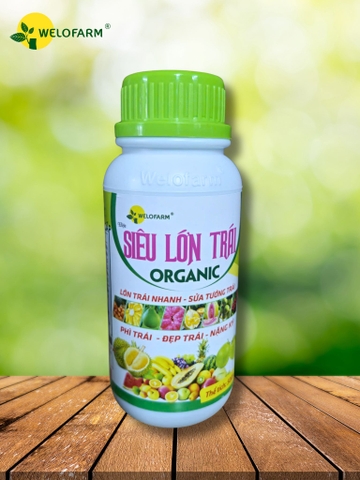 Siêu Lớn Trái USA