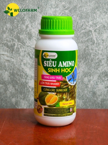 Siêu Amino Sinh Học (Nâng Cấp)