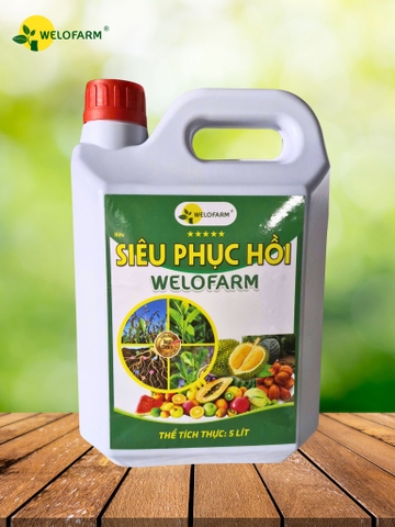 Siêu Phục Hồi