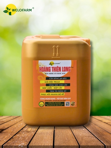 Plus Hoàng Thiên Long