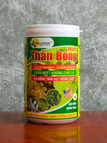 Thần Bông Plus