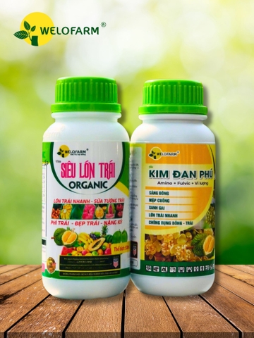 BỘ HỖ TRỢ SỬA TƯỚNG TRÁI