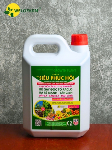Siêu Phục Hồi