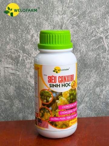 Siêu Canxi - Bo Sinh Học