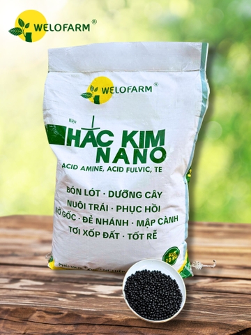 Hắc Kim Nano