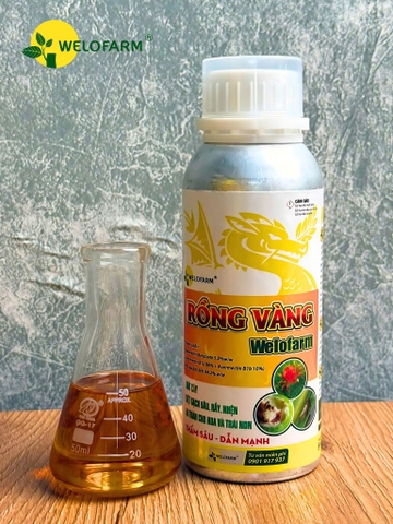 Rồng Vàng Welofarm