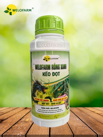Welofarm Rồng Xanh Kéo Đọt