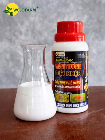 Diệt Nhện Brahmos 500SC