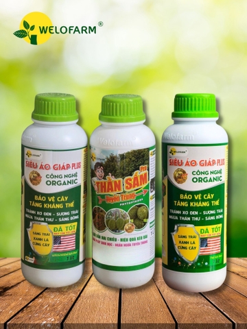 Bộ Khử Tuyến Trùng Vàng Lá Plus Pro