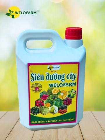 Siêu Dưỡng Cây