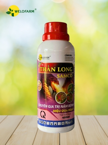 Thần Long Samco
