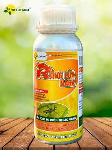 Rồng Lửa NaRa