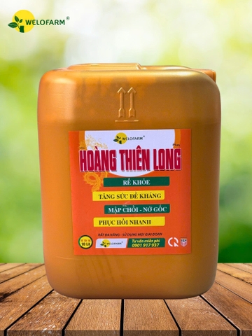Plus Hoàng Thiên Long