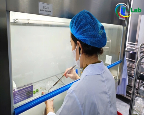 Kiểm định chất lượng