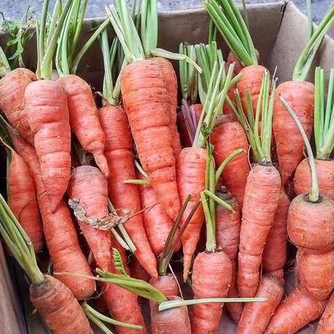 Agricultural products