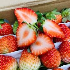 Agricultural products