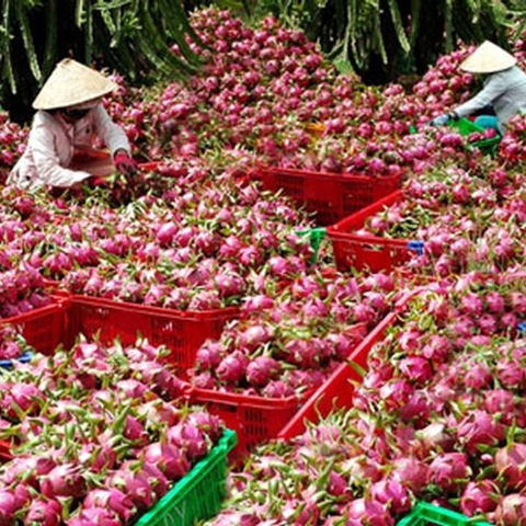 Agricultural products
