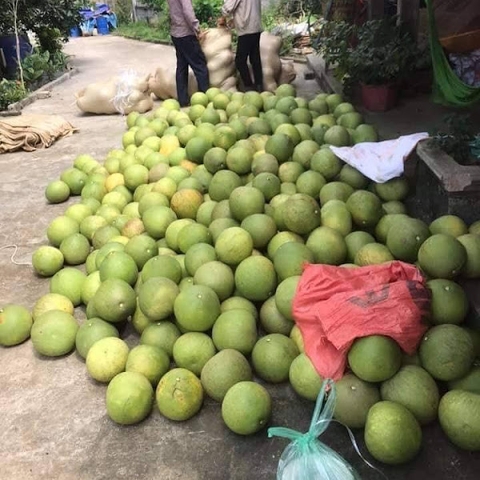 Agricultural products